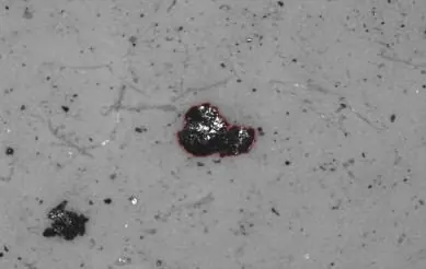 Largest particles found on the filter under the microscope