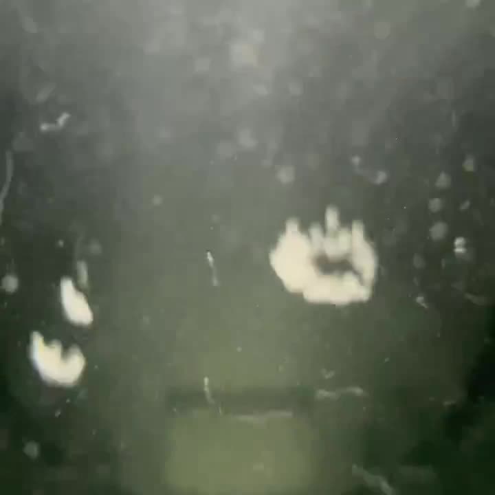 Clip: cavitation under the surface